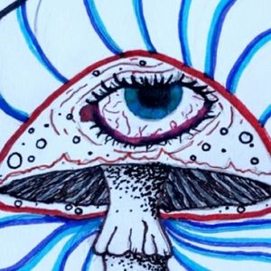 Meet your Posher, Karleigh